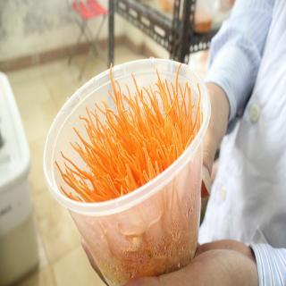 Việt Nam sản xuất được nấm đông trùng hạ thảo Việt Nam sản xuất được nấm đông trùng hạ thảo
