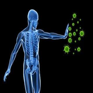 Cordycepin - Hoạt chất chống ung thư duy nhất chỉ có trong Đông trùng hạ thảo Cordycepin - Hoạt chất chống ung thư duy nhất chỉ có trong Đông trùng hạ thảo