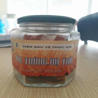 Những Lưu Ý Khi Sử Dụng Đông Trùng Hạ Thảo Những Lưu Ý Khi Sử Dụng Đông Trùng Hạ Thảo