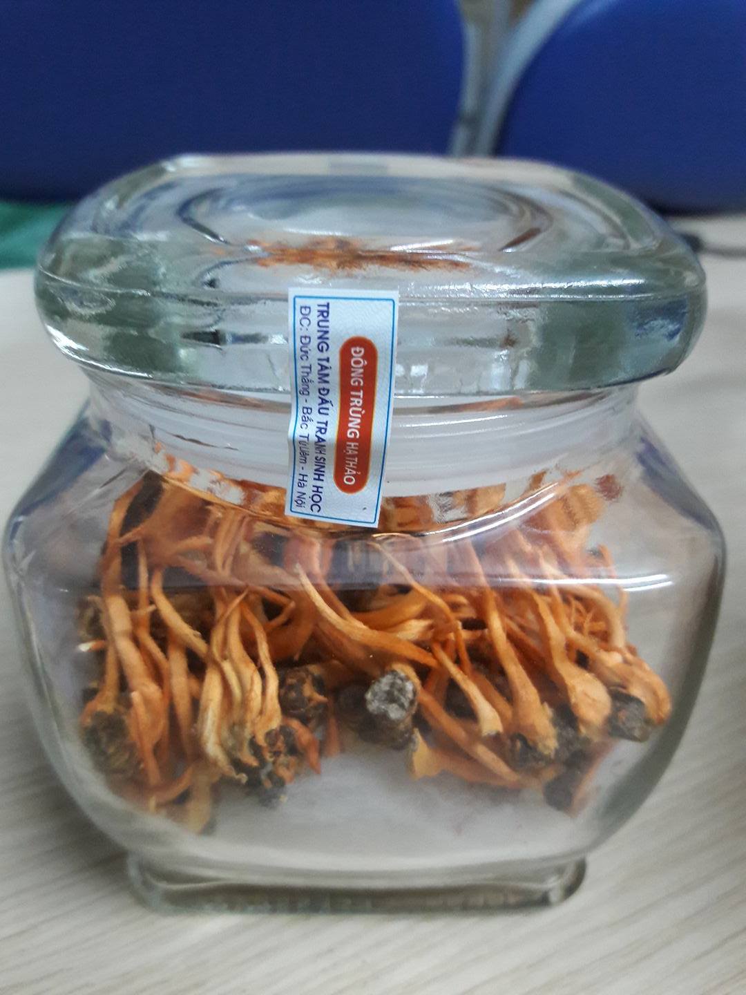 Việt Nam nghiên cứu thành công đông trùng hạ thảo giá 7 triệu/kg Việt Nam nghiên cứu thành công đông trùng hạ thảo giá 7 triệu/kg