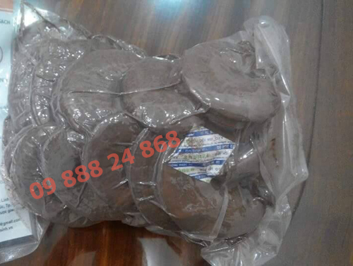 Nấm linh chi đỏ nguyên tai Việt Nam nam-linh-chi-do-viet-nam-55-ngay-tuoi