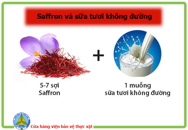 Mặt nạ nhụy hoa nghệ tây với sữa tươi không đường